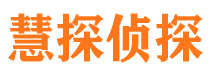 坊子侦探调查公司